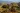 7QAR Panorama View